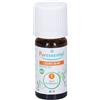 Puressentiel Italia Puressentiel Legno Di Ho Bio Olio Essenziale Puro 10ml