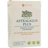 Lao Dan Srl Astragalus Plus Integratore Per Le Difese Immunitarie 60 Compresse