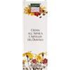 Natur-farma Srl Rahuen Crema Antinfiammatoria Allarnica E Artiglio Diavolo 100ml