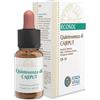 Forza Vitale Italia Srl Ecosol Quintessenza Cajeput Integratore Per Le Vie Respiratorie Gocce Orali 10ml