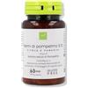 Biotix Ltd Semi Di Pompelmo E.s. Integratore Per Il Microcircolo 60 Capsule