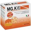 Pool Pharma Mgk Vis Magnesio E Potassio Integratore Di Sali Minerali Gusto Arancia 45 Bustine