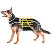 PUMYPOREITY Supporto Schiena Cani, Imbracatura per Cani Shiena per Dolori alla Schiena e Difficoltà nel Movimento(2XL)