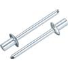 QUARKZMAN 100Pcs 3/16x5/16 Rivetti A Testa Tonda Chiusi A Fine Cieca, Zincati In Acciaio Al Carbonio Con Presa E Mandrino Rivetti Ciechi, Argento