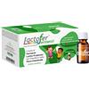 PALADIN PHARMA SpA Lactofer Fermenti Bambini, 10 Flaconcini