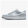 Nike Dunk Low Two-Toned Grey (GS)