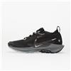 Nike Sneakers Nike W Pegasus Trail 5 Gtx Black/ Wolf Grey-Cool Grey-Anthracite-Reflect Silver