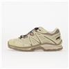 Salomon Sneakers Salomon XT-Quest Gtx Almilk/ Aloewa/ Vinkha