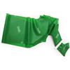 Sissel Banda Elastica Fit Band 2 metri Sissel, Verde (Forte), FitBand 2 metri