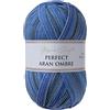 Utopia Crafts Aran Ombre - Filato multicolore per maglieria e uncinetto, 300 g - 600 m (015)