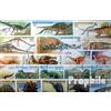 Prophila Collection Motivazioni 50 Diversi Dinosaur Francobolli (Francobolli per i Collezionisti) Anfibi/rettili/Dinosauro