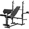Zipro Panca multifunzione Zipro Ripped - Stazione di allenamento con butterfly leg curler, curl pulpit e dip station. Panca inclinata regolabile con supporto per bilancieri.
