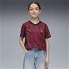 PUMA Maglia gara Third Galatasaray SK 25/26 per ragazzi, Abbigliamento, Rosso, 15-16Y