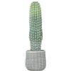 HOMCOM Cactus Artificiale 66 cm, Pianta Artificiale Decorativa con Vaso per Decorazione Interni Verde | Aosom Italy
