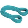 Mammut 9.5 Flash Classic corda arrampicata
