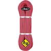 Beal Joker 9.1 mm Unicore Golden Dry corda arrampicata