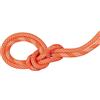 Mammut 9.8 Crag Classic Rope Duodess corda arrampicata