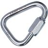 CAMP Delta Quick Link Stainless 10 mm maglia rapida