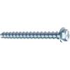 Raumer Multi-Monti Ø10x60 mm EX13 vite autofilettante