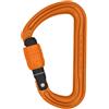 DMM Shadow Screwgate moschettone a ghiera arrampicata