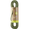 Edelrid Hummingbird Eco Dry 9.2 mm corda arrampicata
