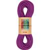 Fixe Pedraforca 8.8 mm corda arrampicata