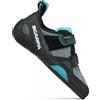 SCARPA Force Conifer-Azure scarpette arrampicata