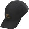 Arc'teryx Bird Word cappello