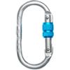 Fixe Symmetric ST Screw Gate moschettone a ghiera arrampicata