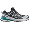 Salomon Shoes XA Pro 3D V9 GTX W scarpe da trekking