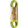 Edelrid Apus Eco Dry 7.9 mm mezza corda arrampicata