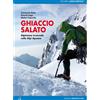 Versante Sud Ghiaccio Salato guida alpinismo
