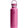 Hydro Flask 21 OZ (621 ml) Standard Mouth Flex Cap bottiglia thermos
