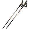 Fizan Speed bastoncini nordic walking