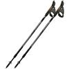 Fizan Speed bastoncini nordic walking