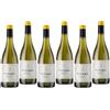 Pitars Sauvignon 2025 Friuli Doc 75 cl 6 Bottiglie