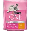 PURINA ONE PURINA ONE JUNIOR ricca di pollo e cereali integrali 800 g