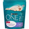 PURINA ONE COAT & HAIRBALL pollo e cereali integrali 800g