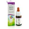 Vervain guna gocce 10 ml