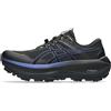 ASICS FUJISETSU MAX GTX