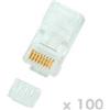 DATACOM Plug UTP CAT6 8p8c - Cavo RJ45 - confezione da 100 pezzi