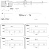 OEM scheda controller CNC a 4 assi, supporta motori Nema23 e Nema34, interfaccia USB, frequenza 100 kHz, compatibile con MACH3, design PCB resistente