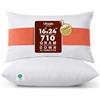 Utopia Bedding - Cuscino decorativo per interni, per divano e letto (confezione da 2 pezzi, bianco), 40 x 60 cm