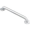 Moen DN8712 - Maniglione in acciaio INOX, 30 cm