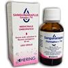 Hering Srl Sanguinariaplus Synergiplus N.710 Medicinale Omeopatico Gocce Orali 30ml