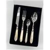 BUGATTI SET POSATE 24 PZ COMPACT OXFORD MADREPERLA AVORIO