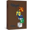 Favini Carta colorata Favini Le Cirque A4 80 g/m² marrone tartufo 301 risma da 500 fogli - A71N534