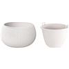 Prosperplast Vaso di fiori tonda con vasca Splofy Bowl in plastica colore bianco 23,9 (lunghezza) x 23,9 (larghezza) x 16,1 (altezza) cm