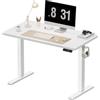 WALKINGDESK Scrivania Regolabile in Altezza, 100 x 60 cm Tavolo Elettrica con 2 Ganci, Standing Desk con Memoria per 4 Altezze, Scrivanie in Piedi in Casa con Piano Assemblato, Bianco
