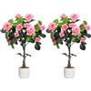 GarveeLife 2 pezzi albero di rosa artificiale, rosa/bianco, decorazione per interni ed esterni, 75/80/90/105/120/150 cm, albero artificiale con tronco di legno naturale e fiori realistici